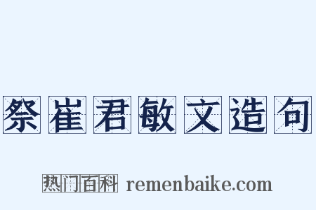 祭崔君敏文造句是什么意思的图片